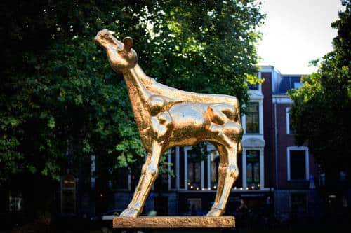 Première Zee Van Tijd Opent Nederlands Film Festival