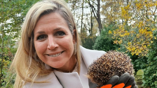 Maxima Beeld: RVD Screenshot 2023 11 24 12.27.11