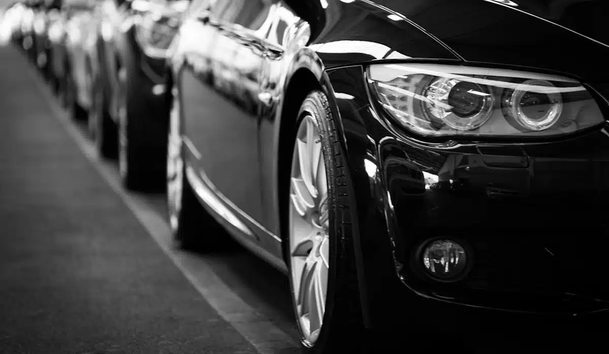 09102024 Wee Pexels Tdcat 70912