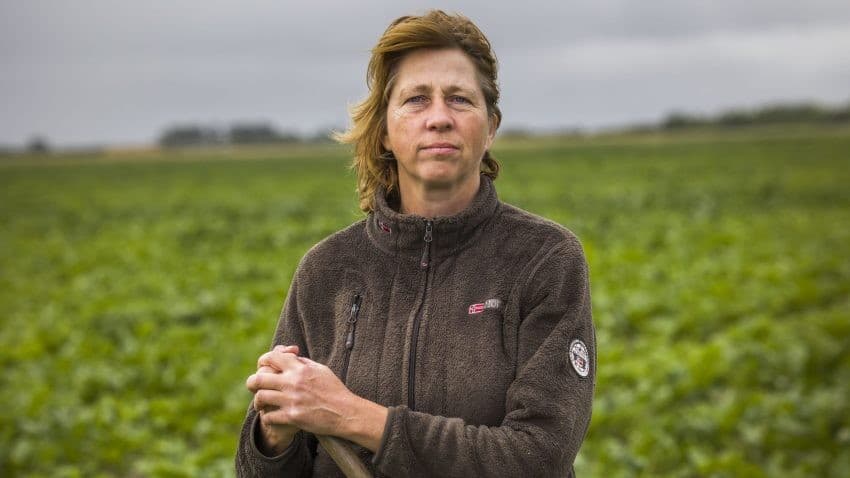 Boerin Bertie Anp 453092448 850x0