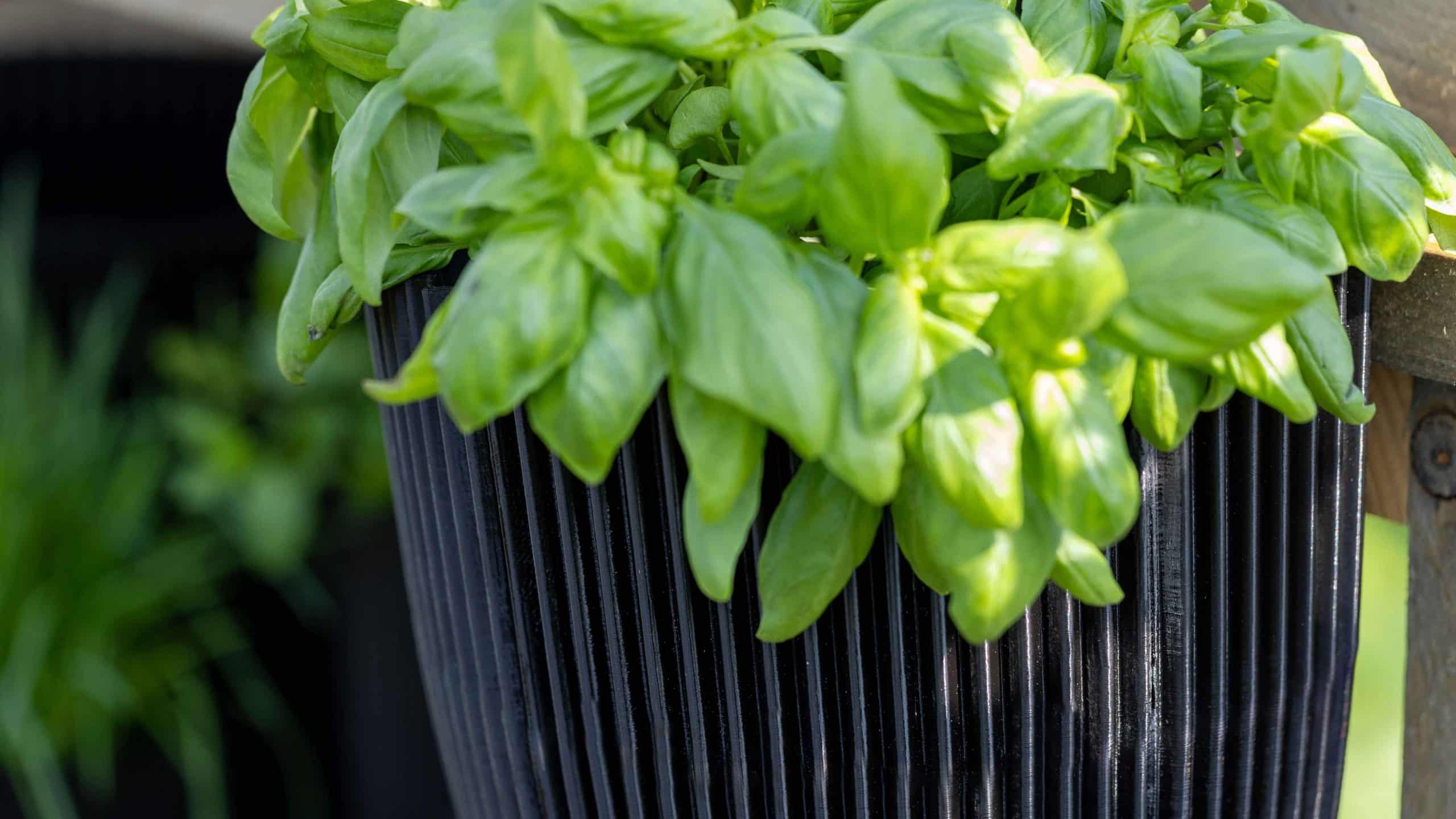 Capi Made With Balcony Ibgtb544 1