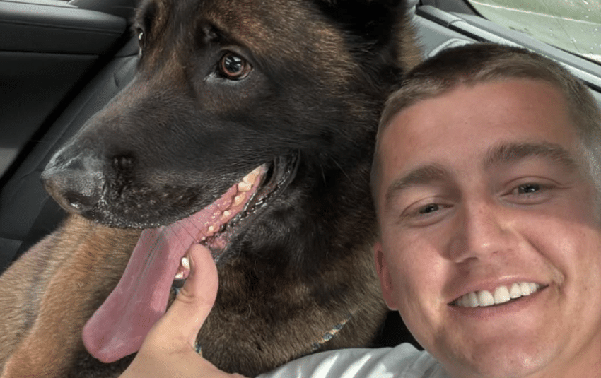 Mart Hoogkamer Hond Ciro Terecht