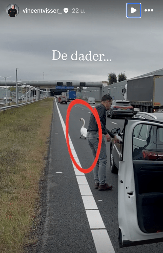 Scherm­afbeelding 2025 09 04 Om 13.41.27