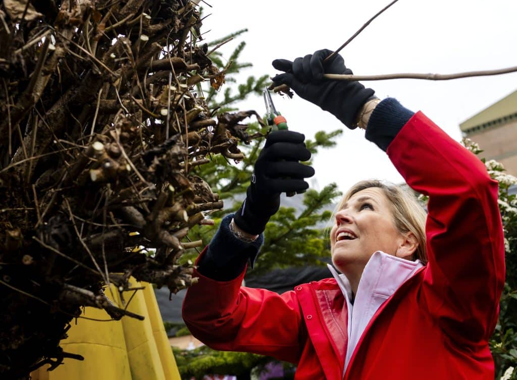 Koningspaar Neemt Deel Aan 22ste Editie Nldoet
