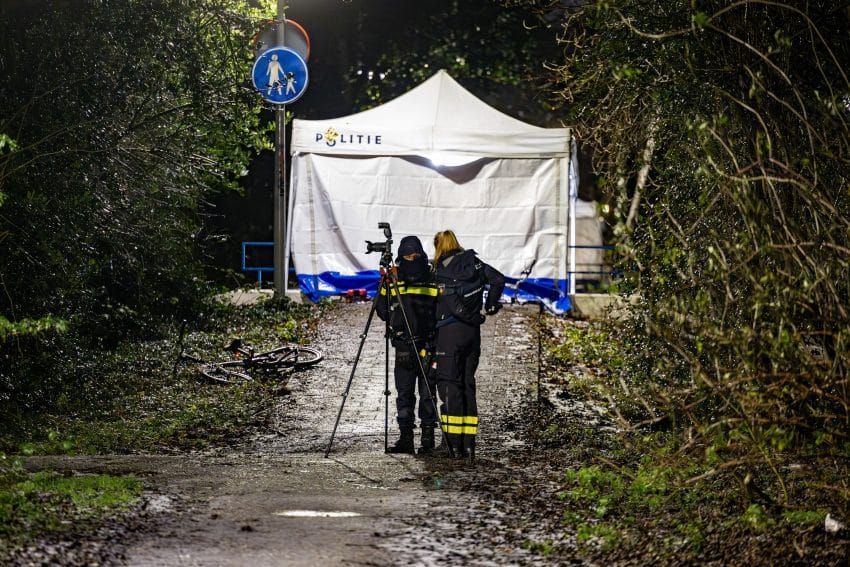 Twee Doden Bij Schietpartij Piet Wiedijkpark In Amsterdam