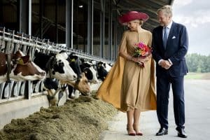 Willem-Alexander en Máxima in Drenthe - ANP